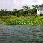 situ
