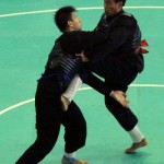 pencak-silat