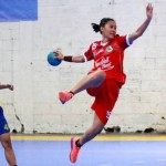 Pertandingan Eksibisi Bola Tangan