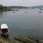 produksi-ikan