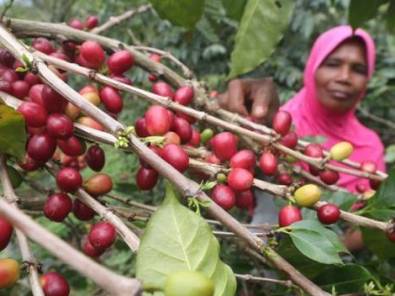 Belum Termukan Eksportir Jawa Barat