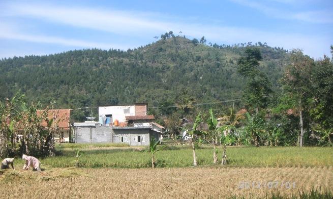 Tahun ini Perbaiki Dua Irigasi kbb