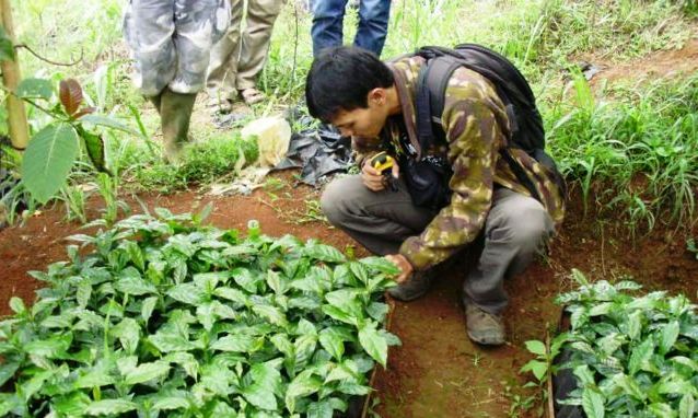Tanam Kopi Perbaiki Ekosistem kopi-klasik-beans
