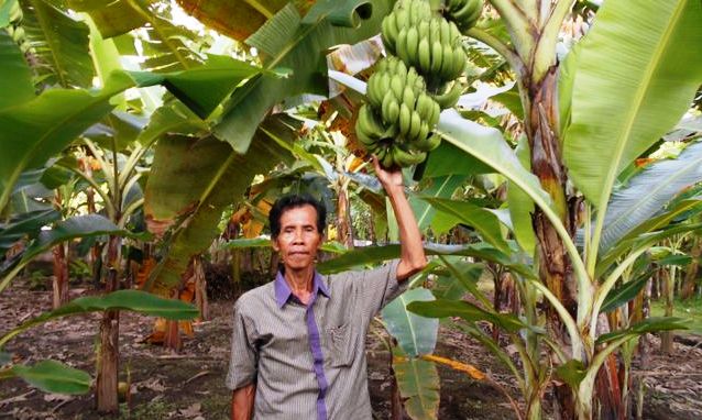 Qorin boshligida qiz bilan ertalab jinsiy aloqa