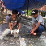 Target Pengerjaan Tuntas Tahun Ini