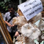 64 Sekolah di Jawa Barat Terpilih Jadi Model SPMI