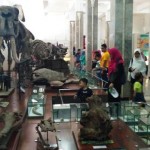 Berlibur sekaligus Belajar di Museum Geologi Bandung