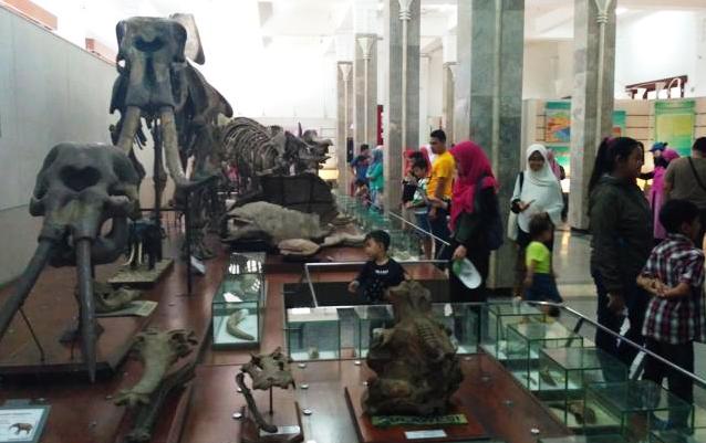 Berlibur sekaligus Belajar di Museum Geologi Bandung
