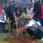 Tanam Seribu Pohon di KBU