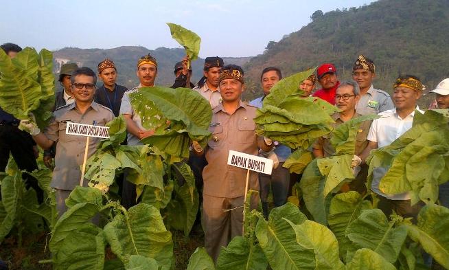 Kucuran Dana DBHCHT Rp 10 Miliar