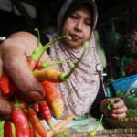 Koordinasi Lemah, Cabe Mahal Koordinasi Lemah, Cabe Mahal