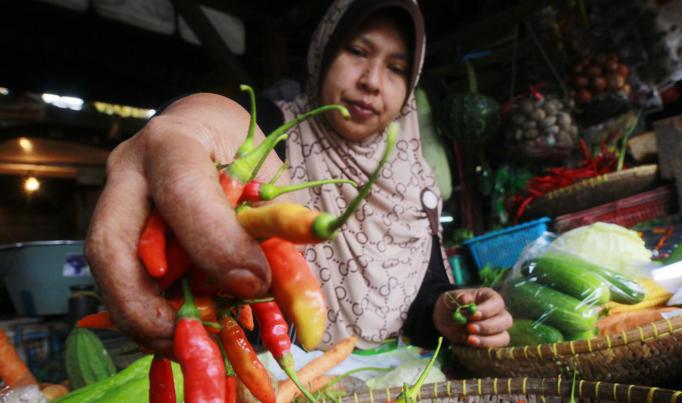 Koordinasi Lemah, Cabe Mahal Koordinasi Lemah, Cabe Mahal