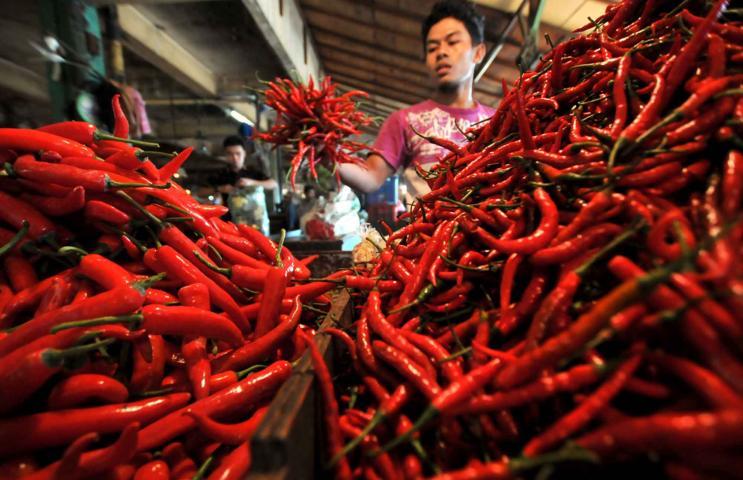 Harga Cabe Rawit Makin Pedas cabe