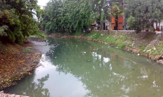 Penanganan Hulu Citarum Harus Tuntas