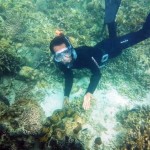 konservasi taman laut kima