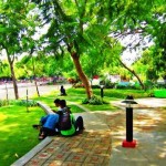 Kondisi Taman Kering dan Rusak