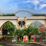 BKSDA Jabar Sita Hewan Langka