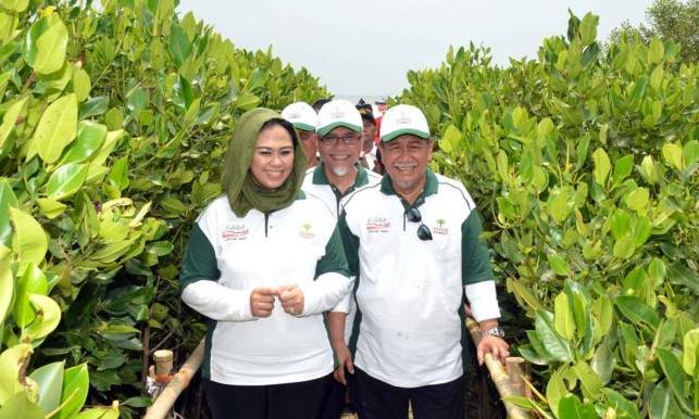 Ajak Swasta Tanam Mangrove