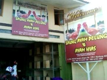 Saung Ayam Pelung Simkuring Jangkau Seluruh Indonesia