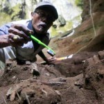 Penemuan Fosil Manusia Purba