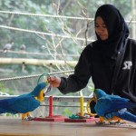 Gali Potensi Wisata di Bagian Selatan