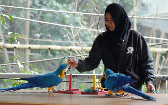 Gali Potensi Wisata di Bagian Selatan Gali Potensi Wisata di Bagian Selatan