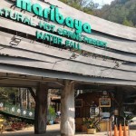 Kontribusi PAD dari Wisata Minim