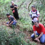 Sekar Telkom Tanam 3.200 Pohon