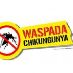 Waspadai Wabah Nyamuk Chikungunya