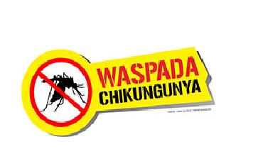 Waspadai Wabah Nyamuk Chikungunya