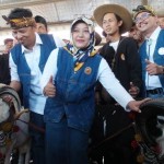 376 Sapi Dibikin Bunting Bareng