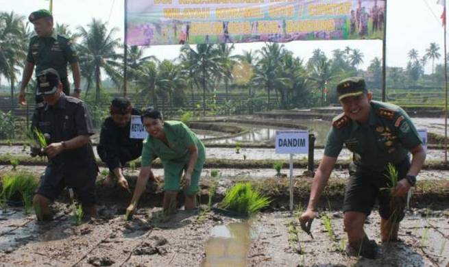 TNI Dampingi Petani