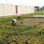 Selidiki Kasus Limbah Oli