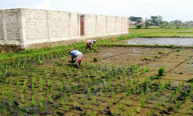 Selidiki Kasus Limbah Oli Selidiki Kasus Limbah Oli