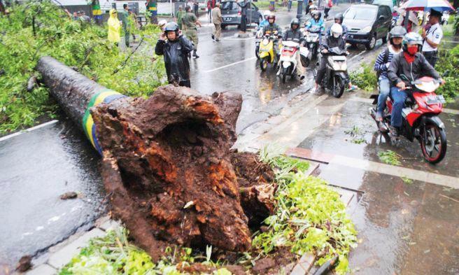 Badai Diprediksi Masih Mengancam Badai Diprediksi Masih Mengancam