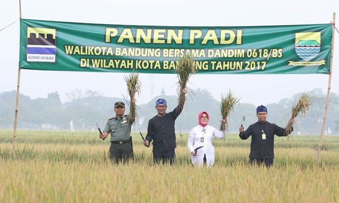Sawah Abadi Cibiru sebagai Pertahanan Pangan