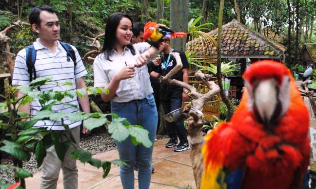 Sertifikasi Pemandu Wisata Terbatas wisata