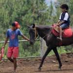 wisata_kuda_megastar