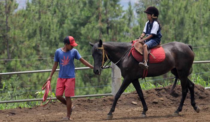 wisata_kuda_megastar