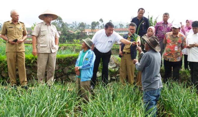 Alam Endah Dijadikan Sentra Bawang