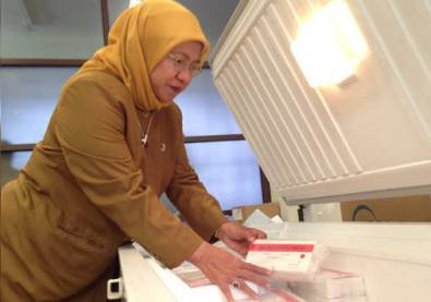 Pupu-Sari-Rohayati -