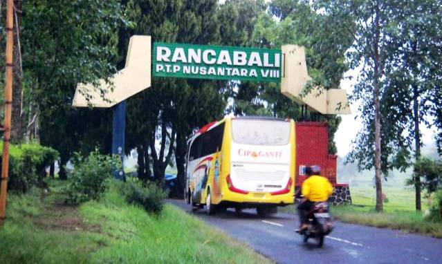 rancabali