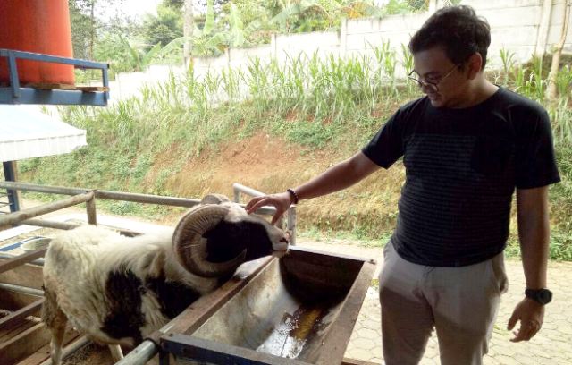 Berternak semudah Bermain Tamagotchi