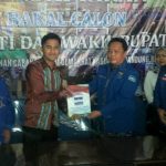 Henky Kurniawan-demokrat