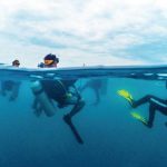 Bandung Dive Center: Nikmati Pesona Bawah Laut Dengan Diving