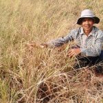 Kabupaten Bandung Dilanda Kekeringan