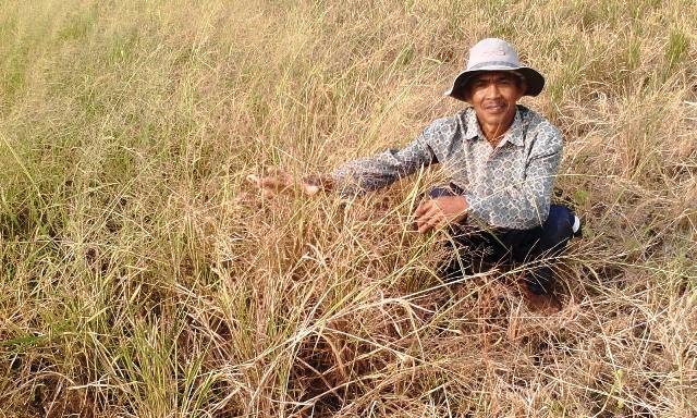 Kabupaten Bandung Dilanda Kekeringan