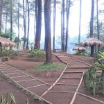 Wisata Hutan Pinus Cikole Lembang PAL 16 (3)