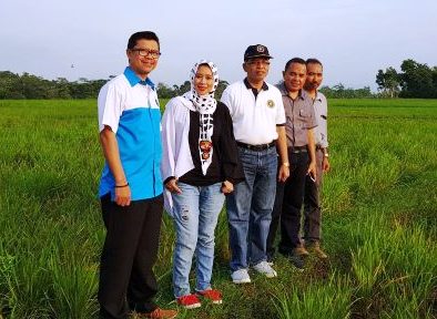 Minta Pemkab Subang Antisipasi Kekeringan