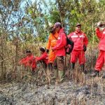 kebakaran-hutan-BKSDA